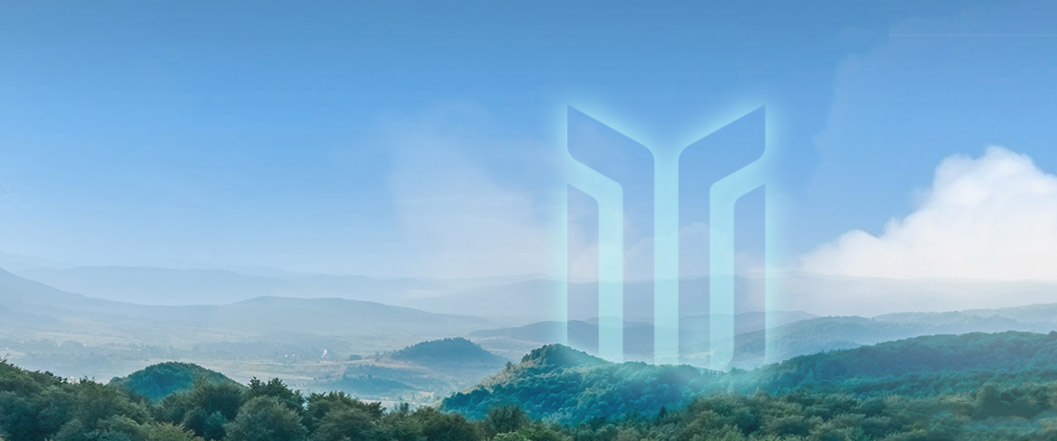 戰(zhàn)略是圍繞公司使命宗旨和宏偉愿景，為拓展和維持競(jìng)爭(zhēng)優(yōu)勢(shì)而做出的有關(guān)全局性的重大籌劃和策略，決定著公司目前和未來(lái)一段時(shí)期內(nèi)所從事生產(chǎn)經(jīng)營(yíng)管理的基本性質(zhì)以及企業(yè)資源配置與環(huán)境建設(shè)相互作用的基本模式，是統(tǒng)籌公司未來(lái)發(fā)展的基本準(zhǔn)則。